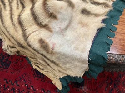Lot 1180 - Good early 20th century Tiger skin rug attributed to Van Ingen, full head mount, on backing, nose to tail 240cm, paw to paw 150cm