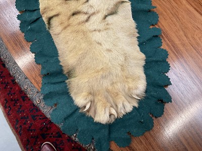 Lot 1180 - Good early 20th century Tiger skin rug attributed to Van Ingen, full head mount, on backing, nose to tail 240cm, paw to paw 150cm