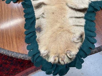 Lot 1180 - Good early 20th century Tiger skin rug attributed to Van Ingen, full head mount, on backing, nose to tail 240cm, paw to paw 150cm