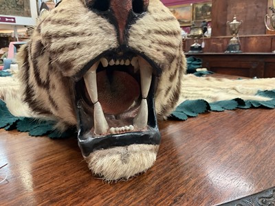 Lot 1180 - Good early 20th century Tiger skin rug attributed to Van Ingen, full head mount, on backing, nose to tail 240cm, paw to paw 150cm