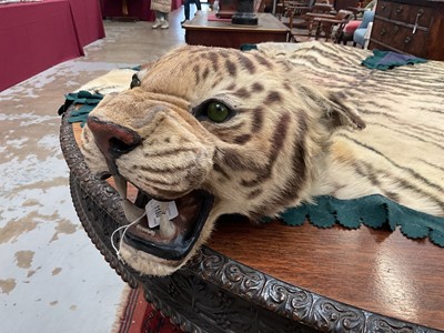 Lot 1180 - Good early 20th century Tiger skin rug attributed to Van Ingen, full head mount, on backing, nose to tail 240cm, paw to paw 150cm