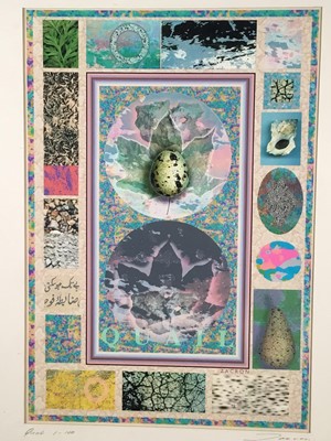 Lot 22 - Richard Drew, known as Zacron (British, 1943-2012) Archival print, 2004 - Quail, signed, inscribed and numbered 1/100, image 28 x 40cm, glazed frame