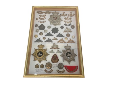 Lot 729 - Fine collection of Victorian and later Lincolnshire Regiment badges and button including three helmet plates in glazed frame.