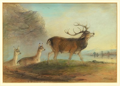 Lot 1343 - Edward Robert Smythe (1810-1899) pair of pastels - Deer in Landscape, signed, 33cm x 46cm, in glazed frames