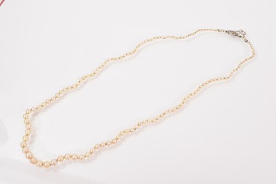 Lot 635 - Cultured pearl necklace with diamond set clasp