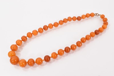 Lot 696 - Antique amber bead necklace with a string of graduated butterscotch amber beads. Largest bead measures approximately 17mm diameter, length 46cm, approximate weight 35.6 grams