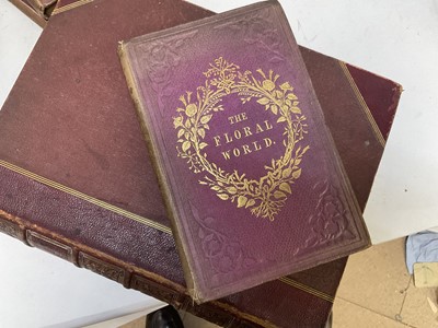 Lot 1662 - Don Quixote, illustrated by Dore, together with a set of volumes of The Floral World, 1862, and others