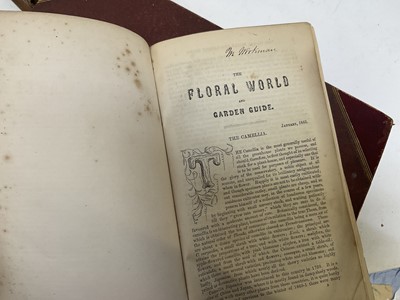 Lot 1662 - Don Quixote, illustrated by Dore, together with a set of volumes of The Floral World, 1862, and others