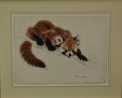 Lot 1400 - *Ralph Thompson (1913-2009) watercolour - Red Panda, signed, bearing Wildlife Art Gallery label to reverse, 28cm x 38cm, in glazed gilt frame
