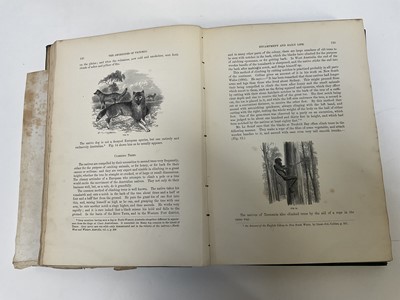 Lot 1682 - Robert Brough Smythe - Aborigines of Victoria, 2 vols. 1878