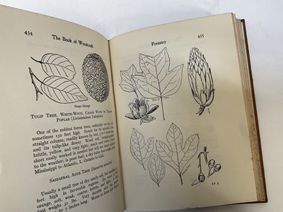 Lot 1680 - Reference and illustrated including works on fishing, travel, exploration and others