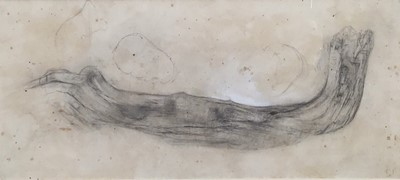 Lot 59 - Richard Drew, known as Zacron (British, 1943-2012) pencil, study from a fragment of wood, signed and dated 1960, inscribed as titled, 16 x 36cm, glazed frame, together with further framed works...