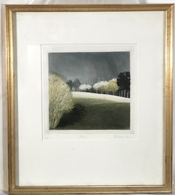 Lot 185 - Belinda King signed print - 'Storm', signed and numbered 5/100, 16cm x 17cm, in glazed frame
