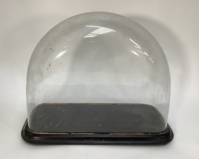Lot 1135 - Late Victorian glass dome on ebonised base, 33cm high overall