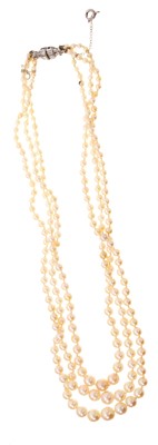 Lot 558 - Natural pearl three strand necklace
