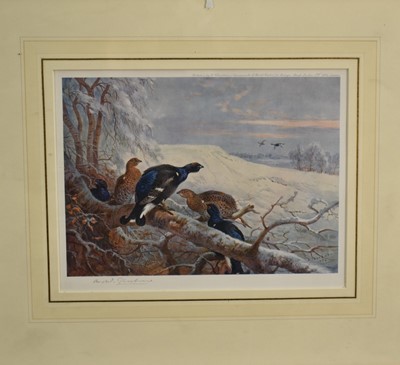 Lot 1218 - Archibald Thorburn, two signed prints depicting Grouse, together with a J. C. Harrison signed print of English partridge, each in glazed frame