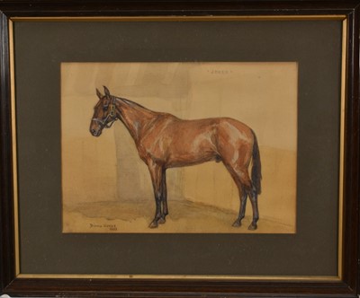 Lot 1244 - Diana Keyes 20th century watercolour - Portrait of ‘Joker’, horse in a stable, signed and dated 1933, 23cm x 32cm, in glazed frame