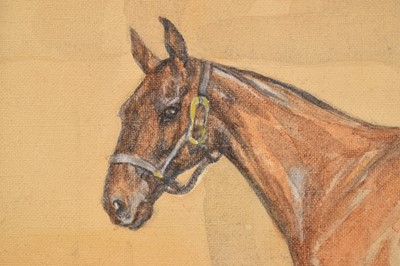 Lot 145 - Diana Keyes 20th century watercolour - Portrait of ‘Joker’, horse in a stable, signed and dated 1933, 23cm x 32cm, in glazed frame