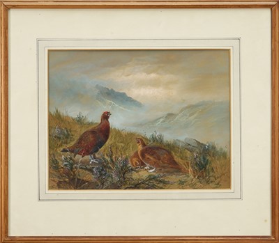 Lot 1247 - After Archibald Thorburn, watercolour - Grouse on moorland, signed and inscribed, 25cm x 33cm, in glazed frame