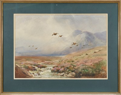 Lot 1246 - *Roland Green (1890-1972) watercolour - Grouse in flight over the Moors, signed, 35cm x 50cm, in glazed frame