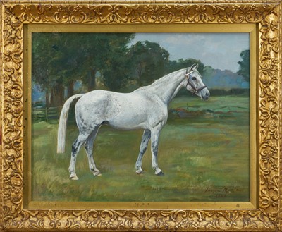 Lot 1243 - Imogen Muntz 20th century oil on canvas - Grey horse, signed and dated 1926, 34cm x 44cm, behind glass in gilt frame