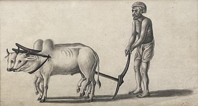 Lot 175 - 19th century Indian school pencil - plough team, 8cm x 15cm, in glazed frame