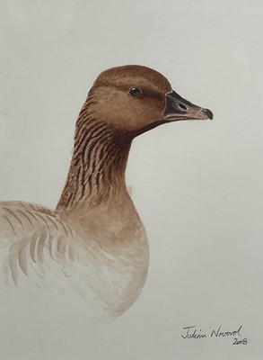 Lot 1157 - Julian Novorol (b. 1949) watercolour - Goose, signed and dated 2008, 30cm x 22cm, in glazed frame