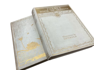 Lot 1727 - Fabre’s Book of Insects, illustrated by Detmold, together with The Life of the Bee, also illustrated by Detmold