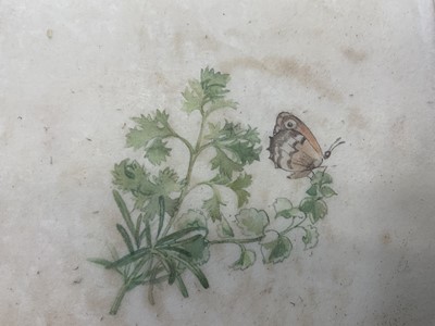 Lot 1714 - Fore-edge painting - Herbs - concise guide in colour, finely bound in painted vellum