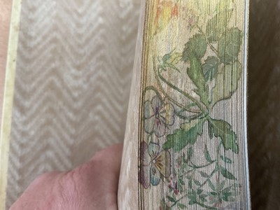 Lot 1714 - Fore-edge painting - Herbs - concise guide in colour, finely bound in painted vellum