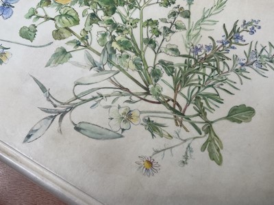 Lot 1702 - Fore-Edge painting - Sarah Bunney - Illustrated book on Herbs, in fine painted vellum binding, slip case
