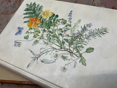 Lot 1702 - Fore-Edge painting - Sarah Bunney - Illustrated book on Herbs, in fine painted vellum binding, slip case