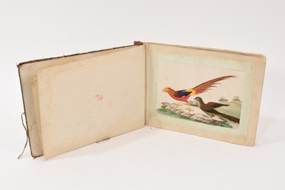 Lot 943 - 19th century Chinese album of paintings on rice paper, comprising 13 paintings of birds