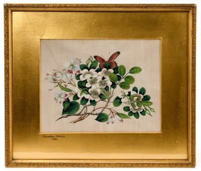 Lot 1040 - 19th century Chinese pith painting of a butterfly amongst flowers