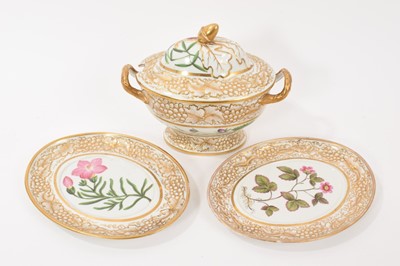 Lot 202 - Davenport botanical sauce tureen, cover and two stands, circa 1815