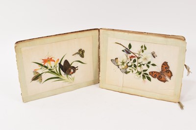 Lot 949 - 19th century Chinese album of pith paintings, depicting butterflies