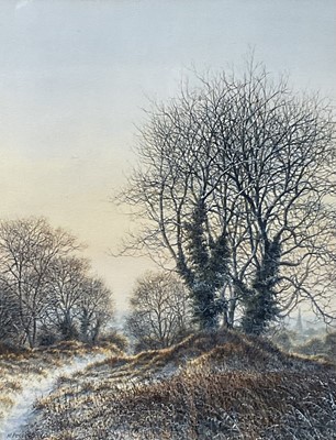 Lot 43 - Michael Pettersson (b.1939) watercolour, 'The Knoll, Hadleigh', signed bottom left, 34cm x 27cm