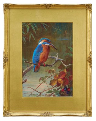 Lot 1210 - Archibald Thorburn (1860-1935) watercolour - The Kingfisher, signed and dated 1930, in original glazed gilt frame