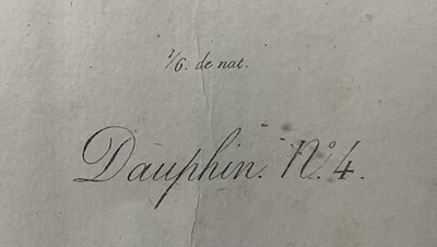 Lot 41 - Jean Charles Werner (1791-1849) hand coloured lithograph of a dolphin, 18cm x 37cm