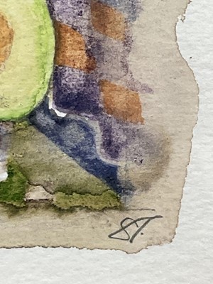 Lot 129 - Shirley Trevena watercolour - 'Alligator Pear' 11.5cm x 11cm, signed, in glazed frame