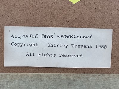 Lot 129 - Shirley Trevena watercolour - 'Alligator Pear' 11.5cm x 11cm, signed, in glazed frame