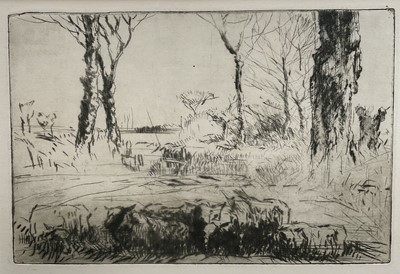 Lot 1155 - Harry Becker (1865-1928) etching - Sheep in Landscape, 18cm x 27cm, in glazed frame