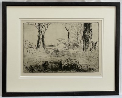 Lot 1155 - Harry Becker (1865-1928) etching - Sheep in Landscape, 18cm x 27cm, in glazed frame