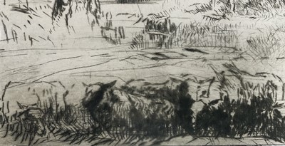 Lot 1155 - Harry Becker (1865-1928) etching - Sheep in Landscape, 18cm x 27cm, in glazed frame