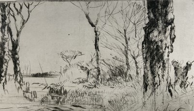 Lot 1155 - Harry Becker (1865-1928) etching - Sheep in Landscape, 18cm x 27cm, in glazed frame