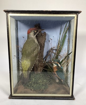 Lot 1169 - Early 20th century glazed case contains a Green Woodpecker and Kingfisher in naturalistic setting, 38cm x 30cm