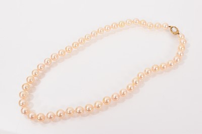 Lot 718 - Cultured pearl necklace with a string of 8mm cultured pearls on a gold clasp