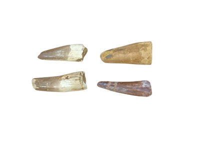 Lot 2573 - Four fossilised dinosaur teeth