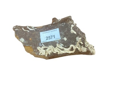 Lot 2571 - Fossilised mammoth bone from the North Sea, approximately 13cm in length.