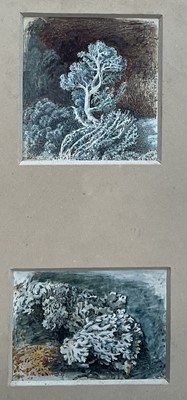 Lot 253 - John Macwhirter (1839-1911) two miniature watercolour studies of alpine moss, inscribed verso to original backboard, in gilt frame, 5.5cm x 5cm and 4cm x 6cm
